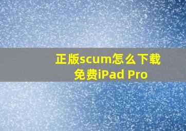 正版scum怎么下载免费iPad Pro